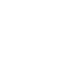 bible